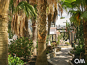 Domki są krajobrazowy z palmami i hibiskusa Buganvilla